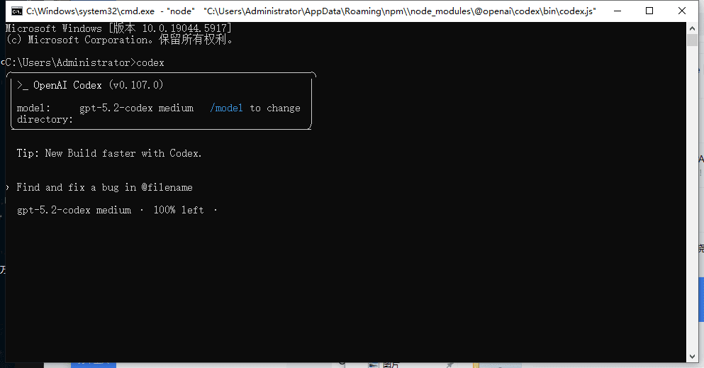 VS Code 内部运行效果
