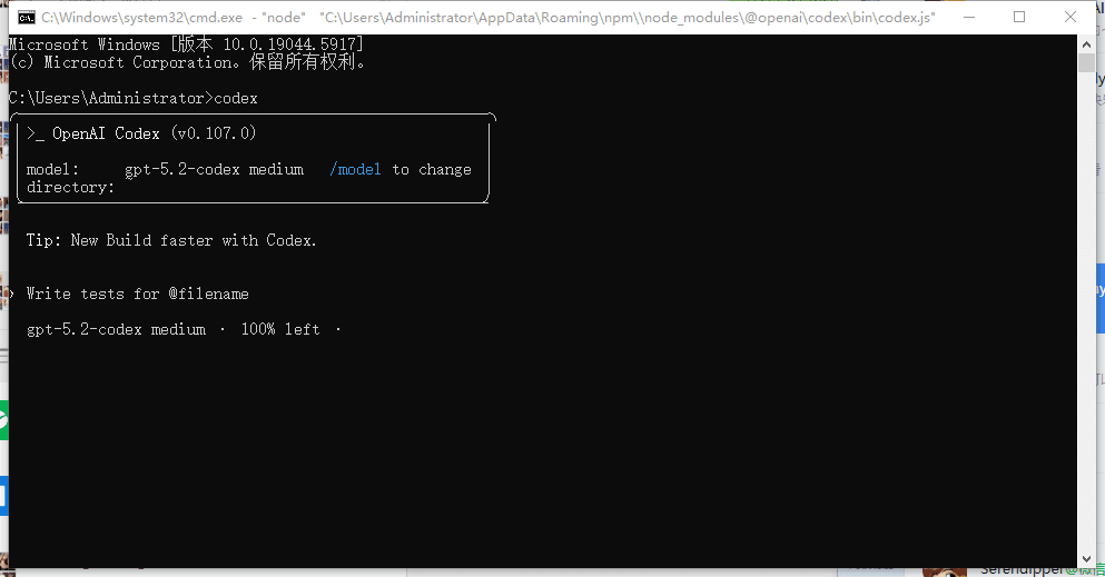 Codex 控制台加载画面